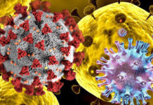 What is Corona Virus ? Why it is very Dangerous? How to prevent it? corona virus